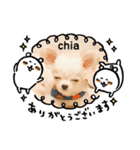 チワワのちぃちゃん(*⁰▿⁰*)（個別スタンプ：10）