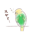 脱力系セキセイインコ（個別スタンプ：8）