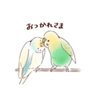 脱力系セキセイインコ（個別スタンプ：11）