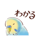 脱力系セキセイインコ（個別スタンプ：13）