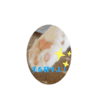 まんまるまるにゃん2（個別スタンプ：15）