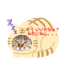 ニャンずたちの日常会話（個別スタンプ：4）