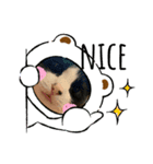 あっちゃんのにゃんず（個別スタンプ：8）