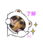 土佐の女 "うにちゃん"（個別スタンプ：3）