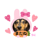 土佐の女 "うにちゃん"（個別スタンプ：14）