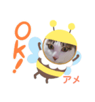 アメせんせースタンプ（個別スタンプ：7）