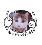 アメせんせースタンプ（個別スタンプ：8）