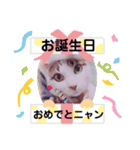 アメせんせースタンプ（個別スタンプ：10）