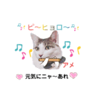 アメせんせースタンプ（個別スタンプ：13）
