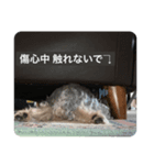 AKI2020ver.（個別スタンプ：5）