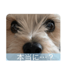 AKI2020ver.（個別スタンプ：6）