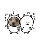 AKI2020ver.（個別スタンプ：8）