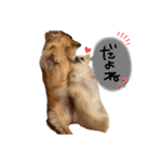 バビウジ（個別スタンプ：1）