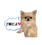 バビウジ（個別スタンプ：4）