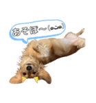 バビウジ（個別スタンプ：6）