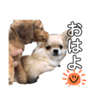 バビウジ（個別スタンプ：7）