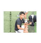 これがOGUのベストメンバー（個別スタンプ：12）