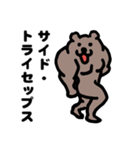 マッチョなクマ【ボディビルダー向け】（個別スタンプ：13）