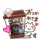ペキニーズのパニーくん（仲良し編）（個別スタンプ：16）