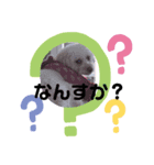 私はラン子（個別スタンプ：2）