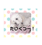 私はラン子（個別スタンプ：3）