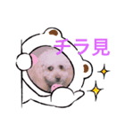 私はラン子（個別スタンプ：5）