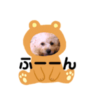 私はラン子（個別スタンプ：7）
