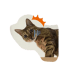 勉三（個別スタンプ：3）