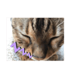 勉三（個別スタンプ：4）