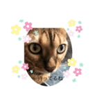 勉三（個別スタンプ：9）