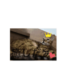 勉三（個別スタンプ：10）