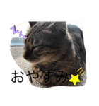 勉三（個別スタンプ：13）