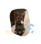 勉三（個別スタンプ：15）