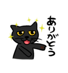くろねこのボン（個別スタンプ：5）