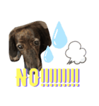 NON 3 style（個別スタンプ：8）