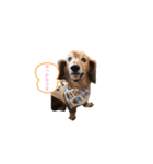 ファンファンLife（個別スタンプ：6）