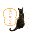 ごえもん日和 3（個別スタンプ：1）