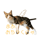 ごえもん日和 3（個別スタンプ：5）