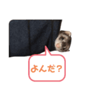 ぺっとすたんぷ_その2（個別スタンプ：12）