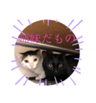 ぺっとすたんぷ_その2（個別スタンプ：14）