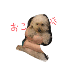 もかもかお（個別スタンプ：3）