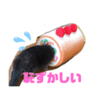 華華のスタンプ（個別スタンプ：1）