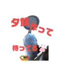 華華のスタンプ（個別スタンプ：9）