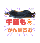 華華のスタンプ（個別スタンプ：11）