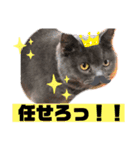 華華のスタンプ（個別スタンプ：12）