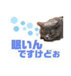 華華のスタンプ（個別スタンプ：15）