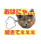 華華のスタンプ（個別スタンプ：16）