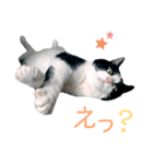 うちのぱんちゃん（個別スタンプ：2）