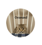 marumaru stamp2（個別スタンプ：8）