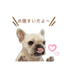 フレンチブルドッグのdaddy（個別スタンプ：20）